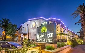 The Lemon Tree Hotel Anaheim